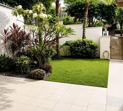 Palms @ Sixth Avenue (D10), Semi-Detached #604853851